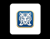 白虎TV直播 v1.0.0 兼容安卓4