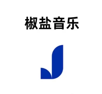 Salt Player 椒盐音乐 v12.0.0 纯净无广告 万能格式本地播放器