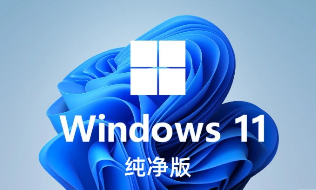 Windows11 23H2 (22631.2428) V1 64位专业版｜极致精简优化 免TPM 自动激活